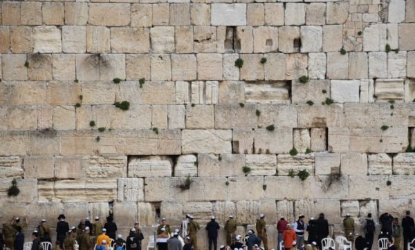 מה זה תהילים בשבילכם? התרגשנו